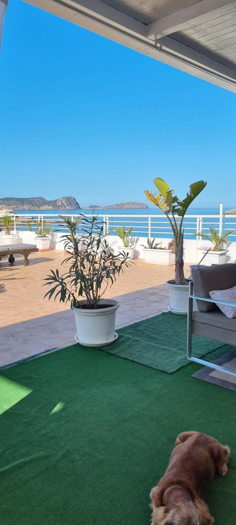 Hotel Boutique Arenas